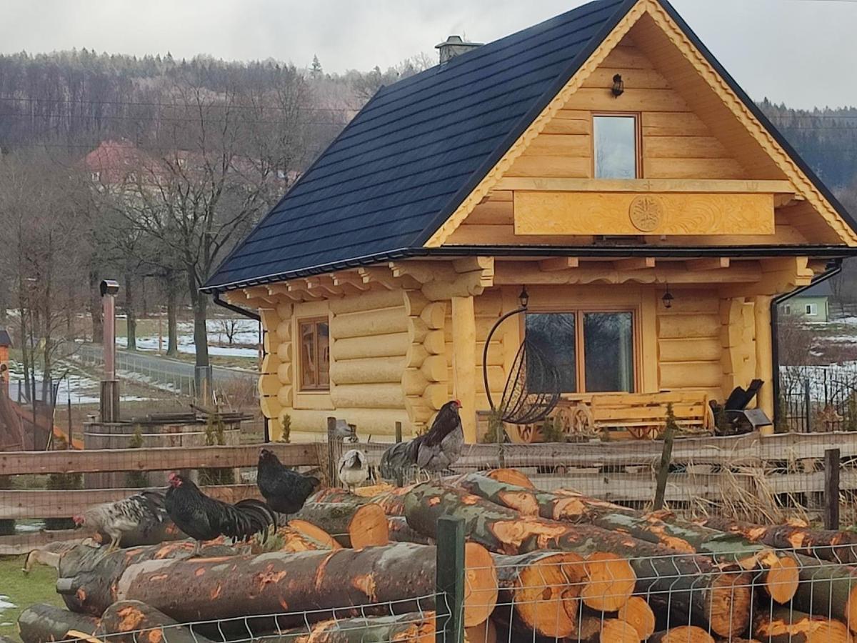 Sudecki Dym Z Kominkiem Kolo Karpacza. Agroturystyka Яновице-Вельке Экстерьер фото
