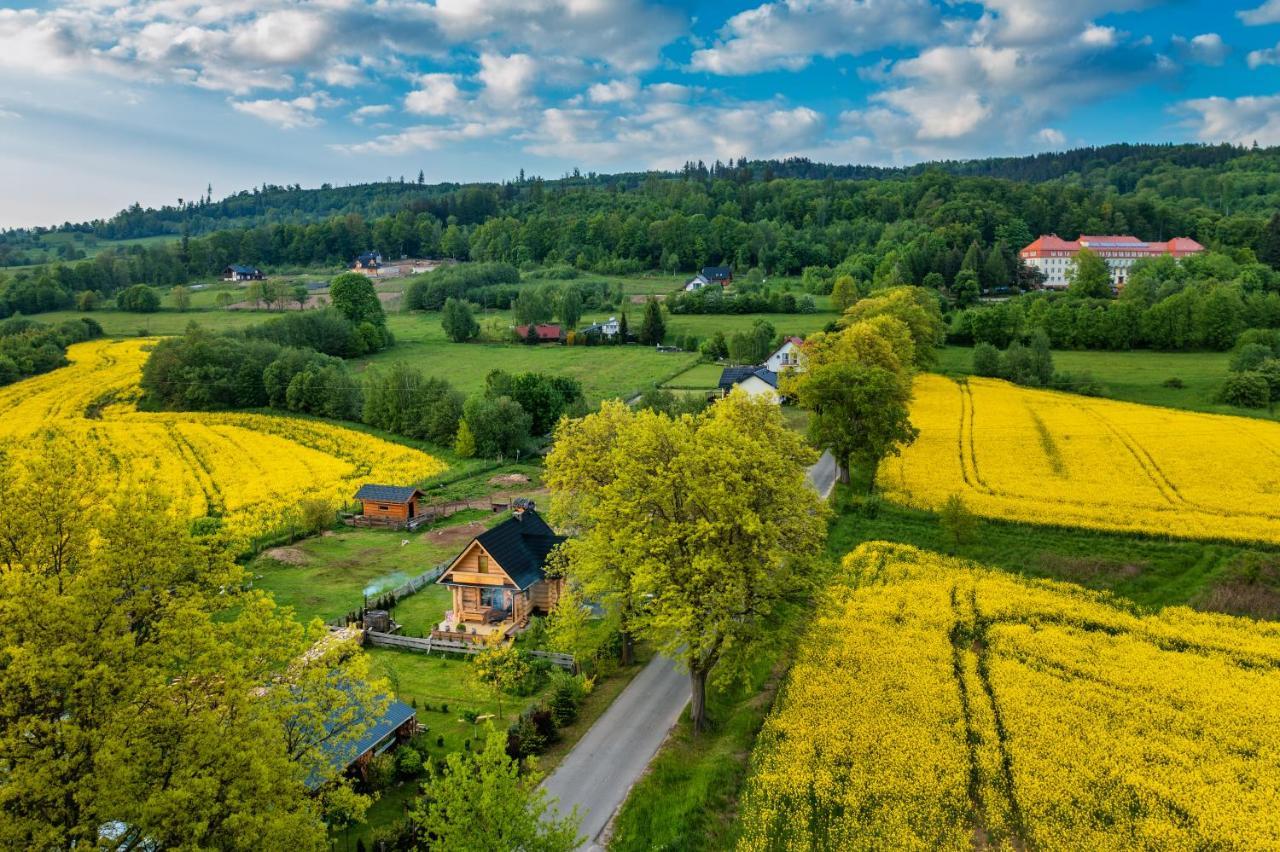 Sudecki Dym Z Kominkiem Kolo Karpacza. Agroturystyka Яновице-Вельке Экстерьер фото